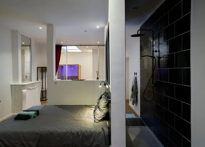 Baignoire Blaneo & Sauna 10 Minutes De La Gare Herberg *